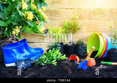 Gartengeräte mit Erde und Holz- Hintergrund bereit zu Blumen Pflanzen und kleine Pflanze im Frühjahr Garten arbeitet Konzept Gartenarbeit Blumentöpfe in Stockfoto