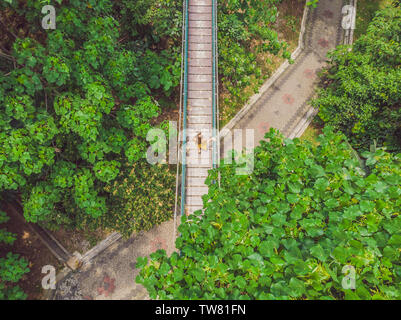 Junge Frau touristische an der Capilano Suspension Bridge kuala lumpur Forest Eco-Park areial anzeigen Stockfoto