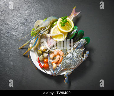 Schalentiere Seafood Platte mit Garnelen Krebs Schale Herzmuscheln mussel squid und fisch meer gourmet Abendessen/Frische rohe Meeresfrüchte mit Kräutern und Gewürzen le Stockfoto
