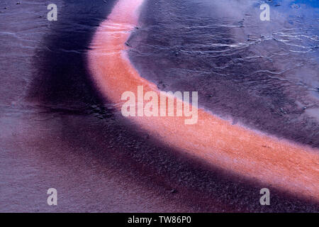 Das bakterielle Wachstum in den Oberen Geiser BasinYellowstone National Park. Stockfoto