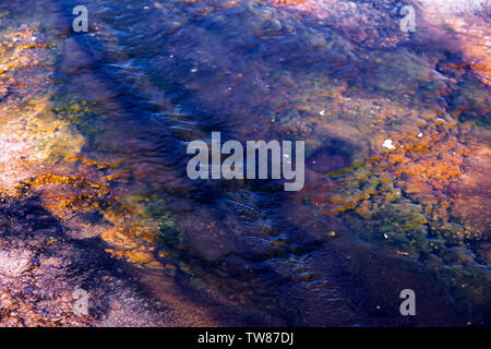 Das bakterielle Wachstum in den Oberen Geiser BasinYellowstone National Park. Stockfoto