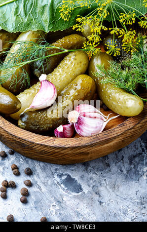 Gewürzgurken mit Kräutern und Gewürzen. Gewürzgurken in Houten Stockfoto