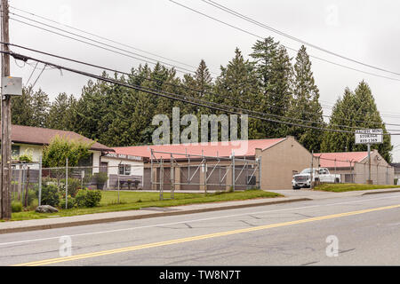 ABBOTSFORD, KANADA - 29. MAI 2019: Blick auf die Straße von Kleinstadt Wohnhäusern im Frühjahr. Stockfoto