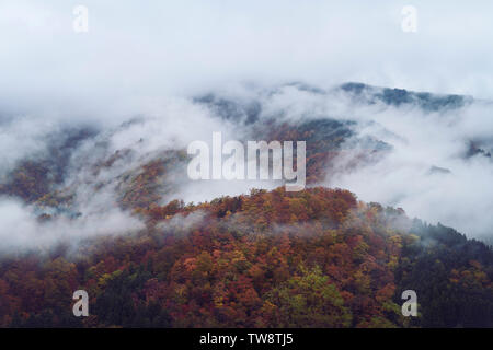 Hügeln im Herbst Bäume und morgens Nebel, schöne abstrakte Antenne Natur Landschaft. Shirakawa, Gifu, Japan. Stockfoto