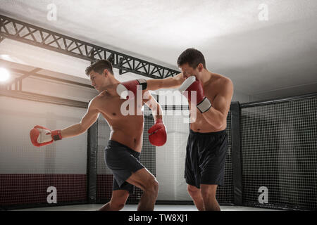 Zwei starke Boxer in der Turnhalle kämpfen Stockfoto