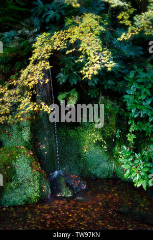 Ruhige Landschaft von Sengetsusen, ein kleiner Wasserfall in Ginkaku-ji Tempel, der silberne Pavillon Zen Garten, Jisho-ji, Kyoto, Japan Stockfoto