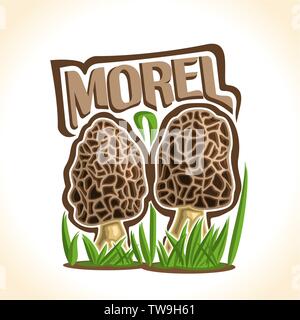 Vektor logo für Morcheln Stock Vektor