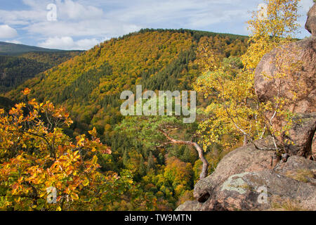 Blick vom Ilsestein in das Ilsetal, Nationalpark Harz, Sachsen-Anhalt, Deutschland Stockfoto