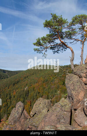 Blick vom Ilsestein in das Ilsetal, Nationalpark Harz, Sachsen-Anhalt, Deutschland Stockfoto