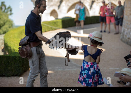 Milandes, Frankreich - 4 September, 2018: die Touristen sehen das Zeigen der Greifvögel im Chateau Les Milandes, eine Burg in der Dordogne, Aquitaine, F Stockfoto