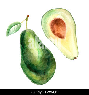 Aquarell tropischen Zusammensetzung mit Avocado auf weißem Hintergrund Stockfoto