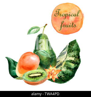 Aquarell tropischen Zusammensetzung mit Avocado, Mango, Kiwi und grüne Blätter auf weißem Hintergrund Stockfoto