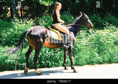 Achal Tekkiner Pferdes. Schnauze reinrassiges Achal Tekkiner Pferde, Foto im Freien. Von einem jungen Reiter geritten. Sankt Petersburg. Russland. 06.18 2019 Stockfoto