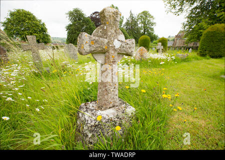 Alte Grabsteine inmitten Wildblumen auf dem Friedhof der St. Mary's Kirche im Dorf Thorncombe, Dorset England UK GB Stockfoto