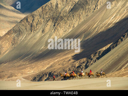 LADAKH, INDIEN, Juli 2013, Touristische auf baktrischen Kamel reiten. Stockfoto