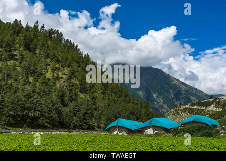 Touristische Campingplatz bei Chitkul, Himachal Pradesh, Indien. Stockfoto