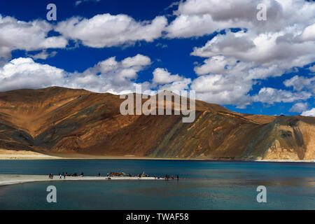 LADAKH, INDIEN, Juli 2016, Touristische an pangong View Point. Stockfoto