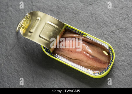 Eine geöffnete Dose Sardellen Filets von Sardellen im südöstlichen Pazifik gefangen und kaufte von einem Supermarkt in Großbritannien. Dorset England UK GB Stockfoto