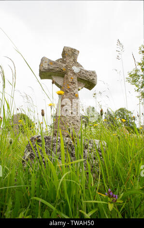 Alte Grabsteine inmitten Wildblumen auf dem Friedhof der St. Mary's Kirche im Dorf Thorncombe, Dorset England UK GB Stockfoto