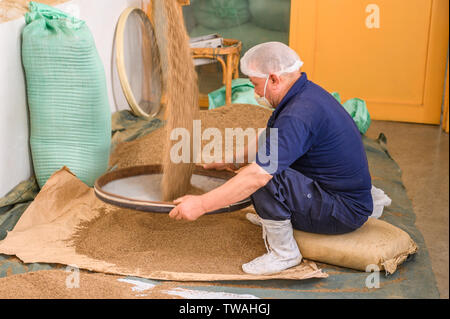 Sekem-farm, Markaz Belbes, Ägypten Stockfoto