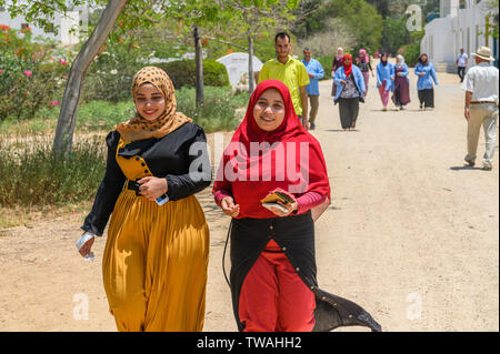 Sekem-farm, Markaz Belbes, Ägypten Stockfoto