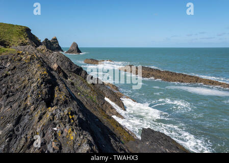 Zerklüftete Küste an der Bucht, in der Nähe von Ceibwr Strickjacke im Pembrokeshire Coast National Park. Stockfoto