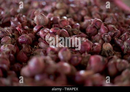 Close up Haufen von roten Zwiebeln Full Frame Hintergrund Stockfoto