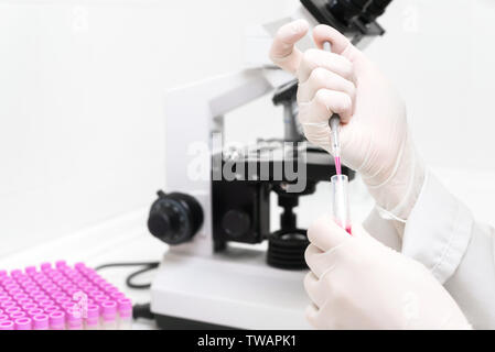 Wissenschaftler füllen Reagenzglas mit Pipette im Labor. Nahaufnahme einer Wissenschaftlerin Füllung Reagenzglas mit Pipette, Mikroskop im Labor. Stockfoto