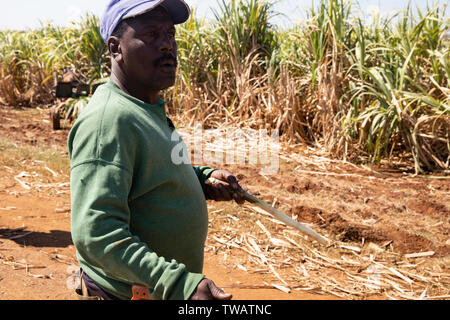Eine kubanische Zuckerrohr Harvester schneiden einige Zuckerrohr für uns. Stockfoto