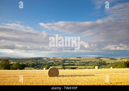Strohballen auf dem Hügel oberhalb des Dorfes Corton im Wylye Valley, Wiltshire. Stockfoto