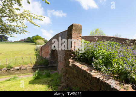 Braunston, Northamptonshire, Großbritannien: Backstein-Buckel-Brücke über den Kanal der Grand Union bei Braunston. Auf der Zufahrtsstraße zur Brücke blühen Blumen. Stockfoto