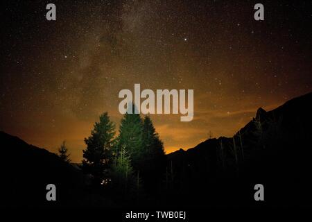 Österreich, Tirol, Sterne über der Baumwiese, St. Anton, Sterntransite, Verwa. Stockfoto