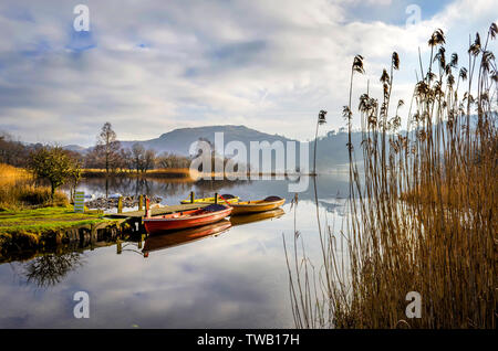 Drei Ruderboote in Ruhe an der Seite eines Sees mit der Wasserseite Schilf in den Vordergrund Stockfoto