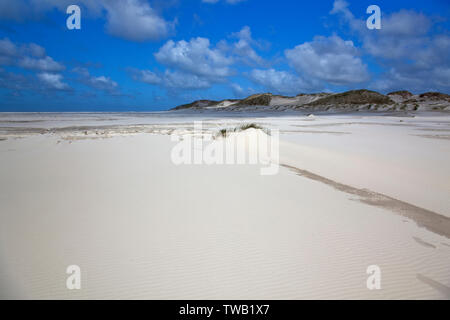 Deutschland, Schleswig-Holstein, Sanddüne auf der Insel Amrum, Nordseeküste. Stockfoto