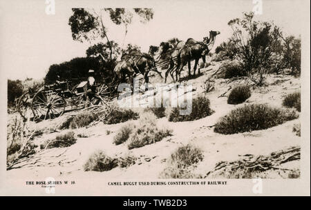 Der Trans-Australian Railway Gebäude - mit einem Kamel Buggy Datum: 1914 Stockfoto