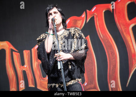 Florenz, 15. Juni. Die Struts führt Live@FIrenze Felsen 2019, Ippodromo del visarno, Firenze, Italien. Copyright Davide Merli | Alamy Stockfoto