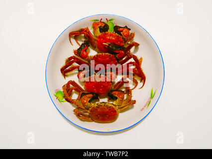 Krabbe. Stockfoto