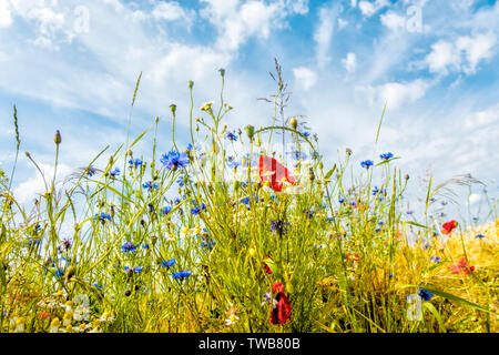 Höchste Zeit im Flur Stockfoto