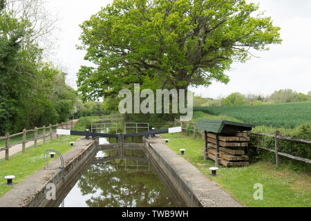 Devil's Loch Schloss an der Wey und Arun Canal, West Sussex, UK. 2019 Stockfoto