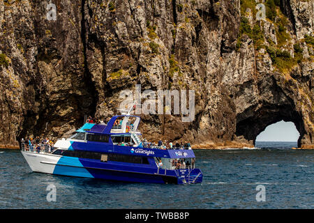 Fullers GreatSights Bootsfahrt, die Bucht von Inseln, North Island, Neuseeland Stockfoto