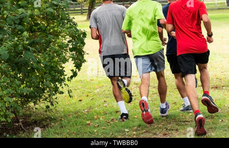 Vier High School Querfeldeinläufer Ausbildung in einem Park um einen großen Strauch in einer Gruppe. Stockfoto