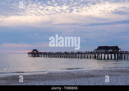 Naples Pier in einer lila und rosa Nebel, bei Sonnenuntergang, Florida, USA Stockfoto