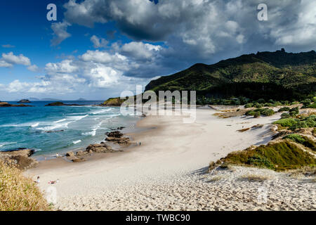 Ocean Beach, Whangarei Heads, North Island, Neuseeland Stockfoto