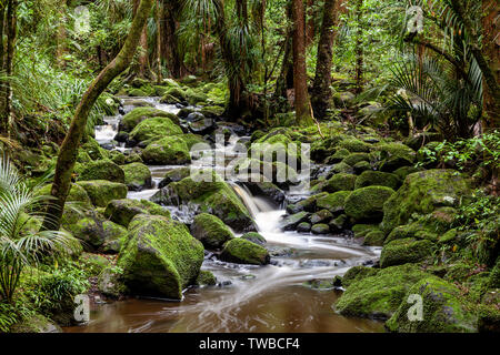 AH Reed Memorial Park, Whangarei, North Island, Neuseeland Stockfoto