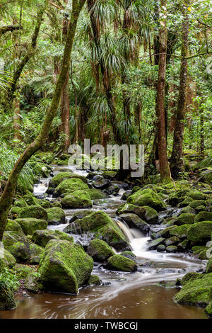 AH Reed Memorial Park, Whangarei, North Island, Neuseeland Stockfoto