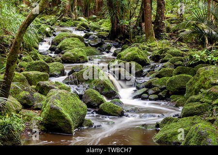 AH Reed Memorial Park, Whangarei, North Island, Neuseeland Stockfoto