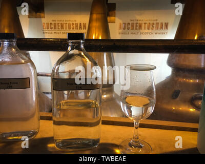 Auchentoshan Malt Whisky Distillery, in Clydebank, Glasgow, Schottland. Stockfoto