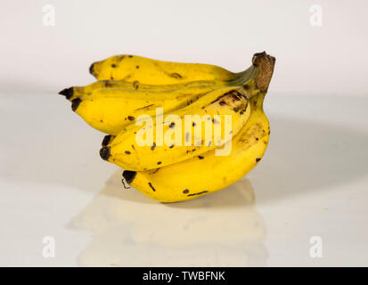 Eine Banane ist eine essbare Frucht - botanisch gesehen eine Beere - durch mehrere Arten von großen Krautigen Blütenpflanzen in der Gattung Musa produziert. In einigen countrie Stockfoto