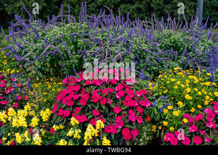Orlando, Florida. Am 16. Mai. 2019. Bunte Blumen in Epcot in Walt Disney World Stockfoto