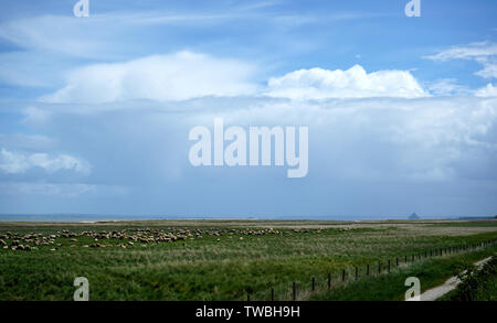 Le Mont Saint Michel 11. Stockfoto